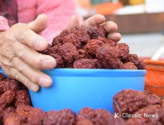 짙어지는 대추향, 커지는 기대감 ‘논산시 연산대추문화축제’로 오세요!