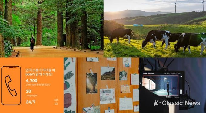 2022 평창국제평화영화제 프로모션 부스