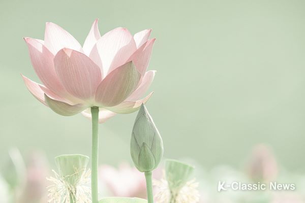 김충호 작'소원'