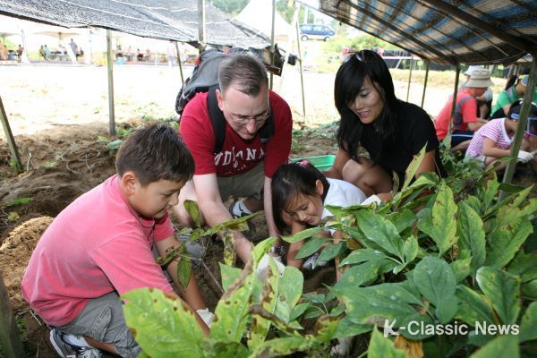 제40회 금산인삼축제 전 기간 인삼캐기 체험여행 운영