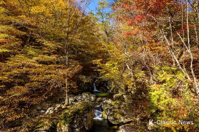 221025항골숨바우길