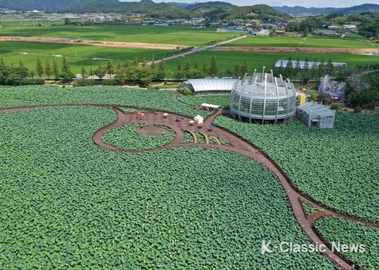 ‘무안연꽃축제’, 올해도 전라남도 대표축제로 선정