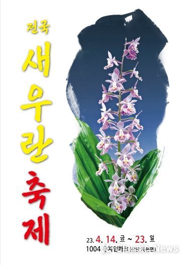 신안군 오색빛깔 30만송이 새우란(蘭)의 대향연