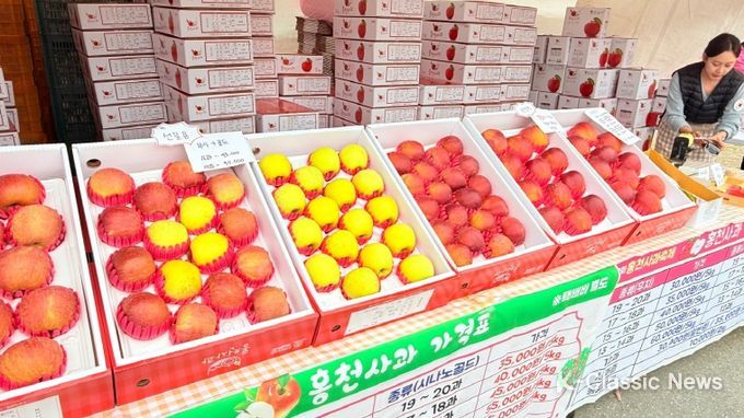 제9회 홍천 사과축제 성황리 종료, 달콤하고 향긋한 3일간의 여정