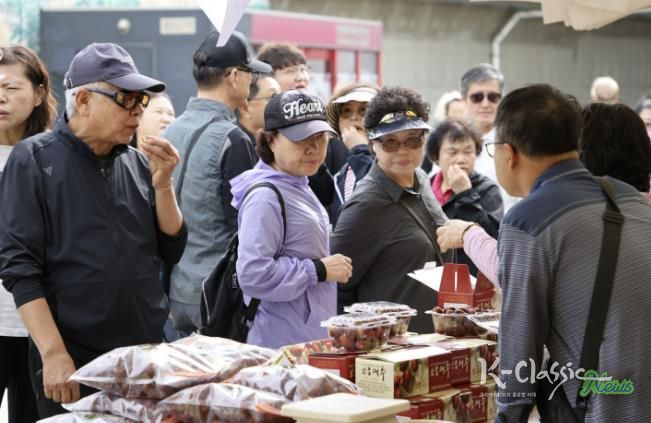 2025 보은대추축제, 이번 주말 보은에서 가을 감성에 흠뻑 빠져보세요