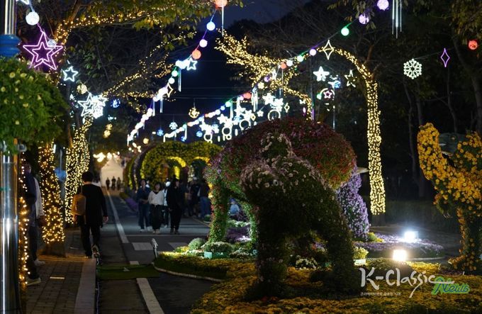 해남미남축제 즐길거리 (국화향연)