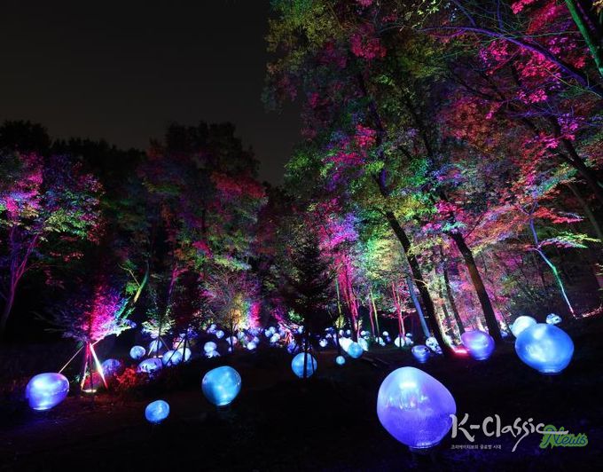 형형색색의 복사꽃 씨앗이 빛나는 도화씨 구간 전경