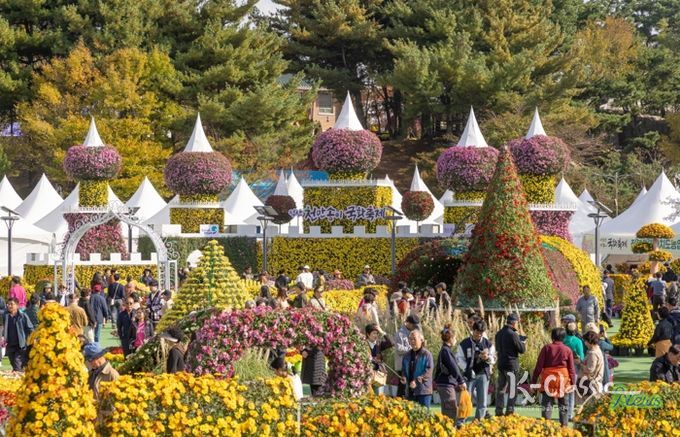 가을 정취의 절정…익산 국화축제 '76만 명' 몰렸다