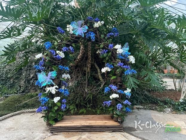 함평군 자연생태공원, 호접란 특별개최전 호접란 포토존