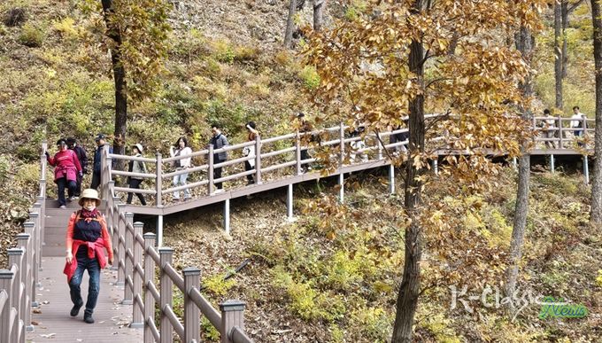 보은군, 단풍길 따라 힐링걷기‘속리산 둘레길 걷기 축제’ 성황리 마무리