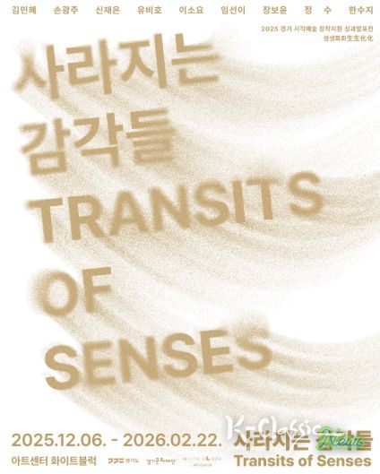 사라지는 감각들 포스터