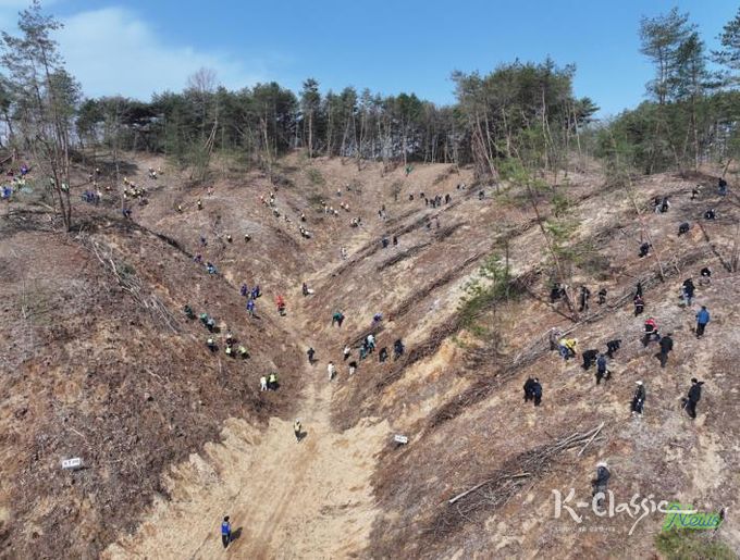 안동시, 제81회 식목일 기념 나무심기 행사 개최